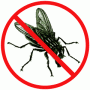 Pest Control